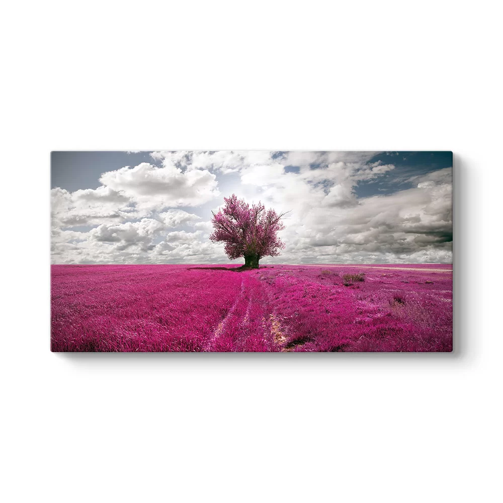 Pembe Alan Tablosu - Model 5